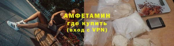 индика Абаза